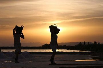 Escursioni alle Saline di Trapani e Paceco