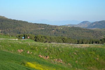 Buseto Palizzolo: natura, tradizioni e autenticità in Sicilia - 2