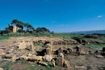 Cosa vedere a Trapani: le Saline di Mothia al tramonto e Trapani by night - Full day - 1