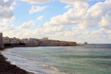 Cosa vedere a Trapani: le Saline di Mothia al tramonto e Trapani by night - Full day - 2