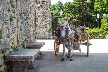 Escursione a Erice da San Vito Lo Capo o da Trapani - Half day