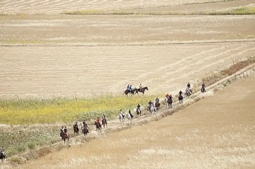 Esperienze a San Vito lo Capo: escursioni a Cavallo&nbsp;