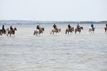 Esperienze a San Vito lo Capo: escursioni a Cavallo&nbsp;