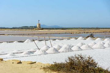 Escursione Mozia, Marsala e saline da San Vito Lo Capo o Trapani