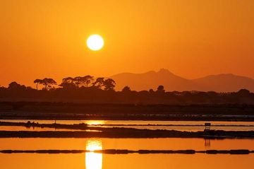 Escursione Mozia, Marsala e saline da San Vito Lo Capo o Trapani