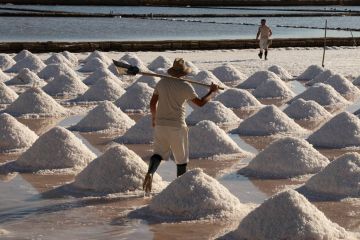 I segreti delle Saline di Trapani - 2