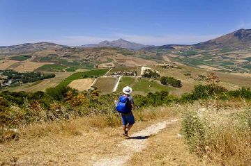 Da San Vito Lo Capo o da Trapani a Segesta e Scopello - Full day