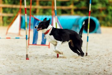 "A tutto Sport", ecco cosa fare a San Vito lo Capo! - 2