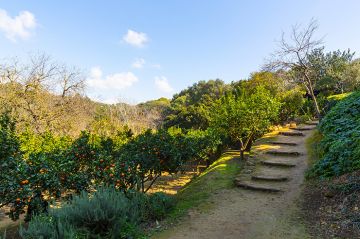 Escursione Valle Dei Templi ad Agrigento